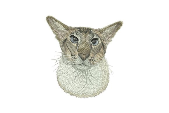 Oriental Cat: A Designer's Review for Real Projects