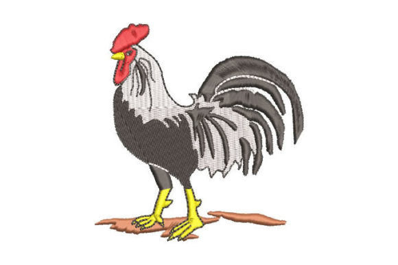 Review: Black and White Rooster for Farmhouse Decor